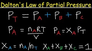 Daltons Law of Partial Pressure Problems amp Examples  Chemistry [upl. by Willi293]