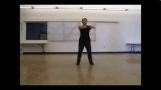 108form Tai Chi 108式太極拳 108式太极拳 [upl. by Higginbotham807]