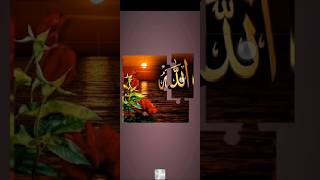 I love Allah i love Islam please like and subscribe thankyouallah islamicvideo allahuakbar love [upl. by Amalie]