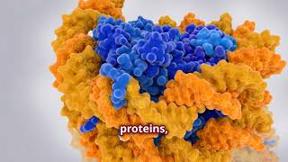 Unlocking Protein Motifs Structure Function [upl. by Ahsiened]