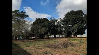 VENDIDA CHÁCARA 👉4000 m² apenas R 330 Mil em PindamonhangabaSP [upl. by Pyle556]