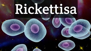 Rickettsiamedical microbiologyHindiintracellular parasite [upl. by Emelda]