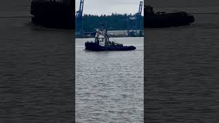 Bowen Belle and Tugboat Sea Imp VIII near Annacis Channel on the FraserRiver [upl. by Eppes195]