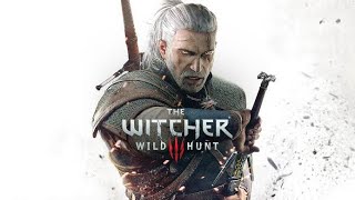 The Witcher 3 20 Um tesouro que sumiu do nada sem comentar [upl. by Leval749]