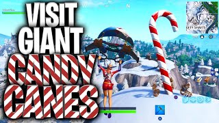 quotVisit Giant Candy Canesquot 14 Days of Fortnite Challenges  You Can Skip Days And Still Complete Them [upl. by Eteragram308]