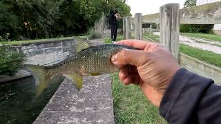 pesca de bluegill channahon Illinois [upl. by Thomsen]