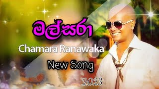 Malsara  මල්සරා  Chamara Ranawaka  New Reggae Song 2023 [upl. by Chak365]