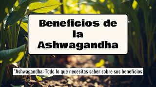 Beneficios de la Ashwagandha [upl. by Rehpotsihc]