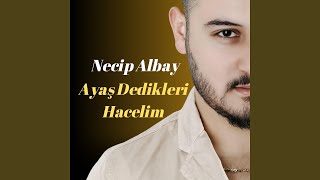 Ayaş Dedikleri Hacelim [upl. by Arel633]