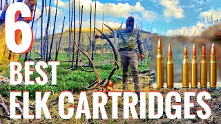 6 Best Elk Cartridges Tips from a Professional Guide [upl. by Eglantine]