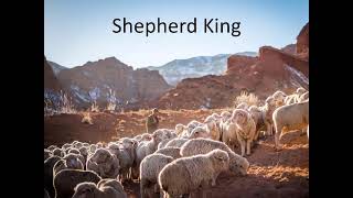 Shepherd King  worship song [upl. by Blakeley]