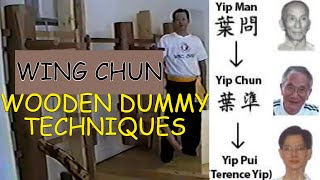 WING CHUN  WOODEN DUMMY TECHNIQUES  TERENCE YIP [upl. by Miarfe642]