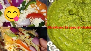 Aaj Maine gehun ke aate se testi Pizza Banaya aur banai Uttrakhand ki special chatni [upl. by Roselba210]