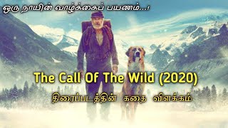 The Call Of The Wild 2020 Adventure Movies Story in Tamil தமிழ் [upl. by Costanza891]