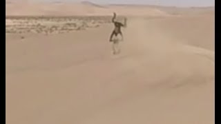 Raid de lamitié 2017  Maroc  Dunes de Laayoun  Steph en mode Tsunami [upl. by Sackman]