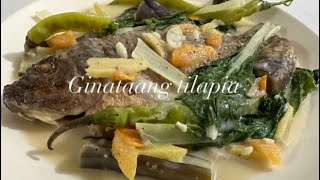 GINATAANG TILAPIA  COOKING SERYE  DONA D EXPLORER [upl. by Oaht875]