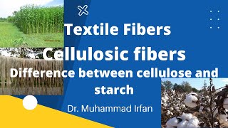 What are cellulosic fibers difference between cellulose and starch [upl. by Ahsercel]