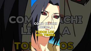 Como itachi libero a todos los edo tensei naruto narutoshippuden [upl. by Cecilius931]