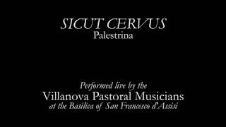 Sicut Cervus  Live from Assisi [upl. by Eissel]