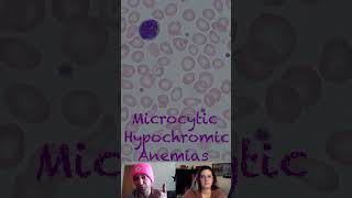 Pathophysiology of Microcytic Hypochromic Anemias [upl. by Latihs595]