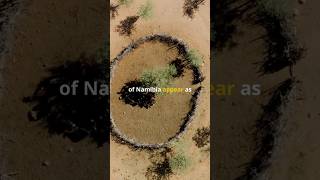 The Desert Circles of Namibia Is it a Nature’s Code or Alien Footprint shorts [upl. by Tryck231]