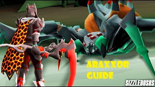 OSRS  Araxxor  Easy Guide [upl. by Nylecsoj]