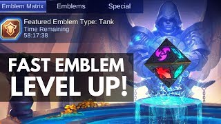 NEW WAY TO GET EMBLEMS  EMBLEM MATRIX TUTORIAL  WTFacts  Mobile Legends [upl. by Itisahc]