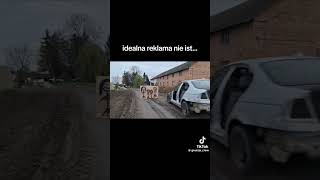 dc automobile poland fishing ebike mtb troutfishing ptasznik trout mushroom [upl. by Ahseekal]