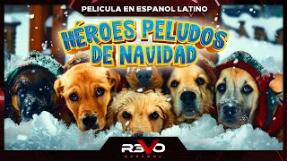 HÉROES PELUDOS DE NAVIDAD  FAMILIA  PELICULA EN ESPANOL [upl. by Cirad]