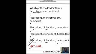 diphyodont heterodont and thecodont characteristics of human dentition [upl. by Euqram]