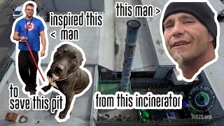 Dead Man Rescued By Dogs Returns Favor Saving Pit Bulls From Incinerator [upl. by Ahsiemac]