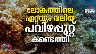 തിമിംഗലത്തേക്കാൾ വലിപ്പം ലോകത്തിലെ ഏറ്റവും വലിയ പവിഴപ്പുറ്റ് കണ്ടെത്തി [upl. by Latsirc973]