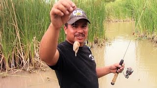 Catching Crawfish On Rod And Reel [upl. by Pharaoh]