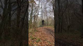 Surrey hills mtb emtb [upl. by Frayne]