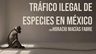 Tráfico ilegal de especies en México  con Horacio Macias Fabre  0011 [upl. by Aiekan]