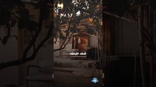 وكل شئ بينسرق مني 😥  شجرالليمون [upl. by Nero]