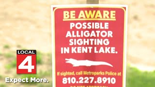 Possible alligator sighting reported at Oakland County lake [upl. by Gytle]