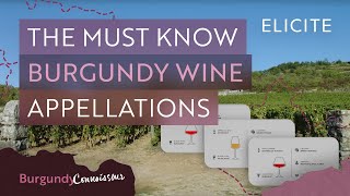 The Complete Guide To Key Burgundy Appellations [upl. by Ahsuoj]