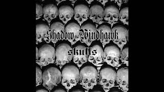 quotSkullsquot  Shadow Windhawk and the Morticians Misfits Cover [upl. by Lydia710]