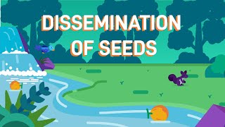 How Plants Disperse Their Seeds [upl. by Adnik]