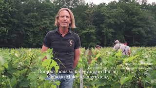 Chateau MalarticLagraviere travail du sol et agroécologie juin 2021 [upl. by Beaumont]