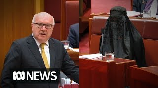 George Brandis slams Pauline Hanson for wearing a burka to Senate Question Time 2017  ABC News [upl. by Emmerich31]