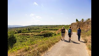 Weitwanderweg KremstalDonau [upl. by Ashatan]