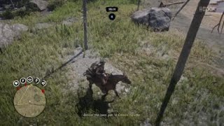 Invisible Bear Glitch Hunt RDO Red Dead Redemption 2 Online [upl. by Sarita]