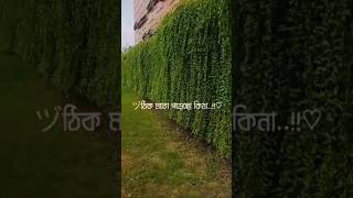 প্রত্যেক মুসলিমকে আল্লাহ্ জিজ্ঞাসা করবেন salatabutohaadnan shorts [upl. by Neyuh]