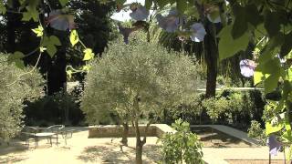 Mediterranean Landscape Design [upl. by Kirshbaum]