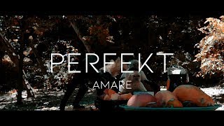 Raf Camora x AriBeatz x Sofiane Type Beat quotPERFEKTquot  Dancehall  by AMAREmusic bonez mc pap2 [upl. by Acinoev598]