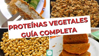 Top 5 PROTEÍNAS VEGETALES  Las MEJORES fuentes de PROTEÍNA VEGETAL [upl. by Sallyann]