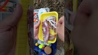 pêche en mer  crevettes et calamars sont des appâts efficaces pour la pêche en bord de mer [upl. by Maretz]