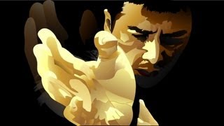 Ip Man 1 and 2  NLR Fight Montage  Donnie Yen  Sammo Hung  Wing Chun [upl. by Ldnek]